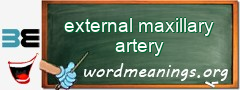 WordMeaning blackboard for external maxillary artery